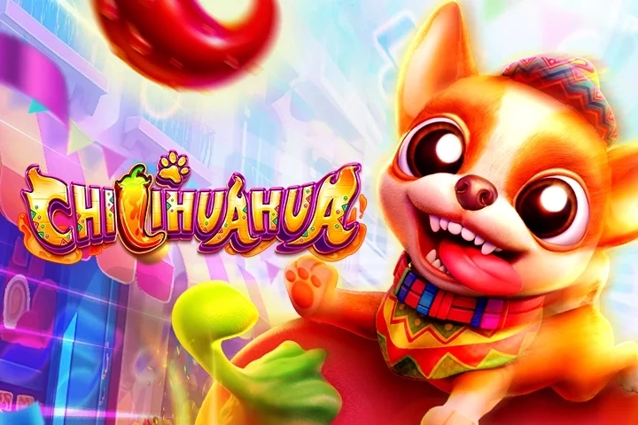 06800 chilihuahua