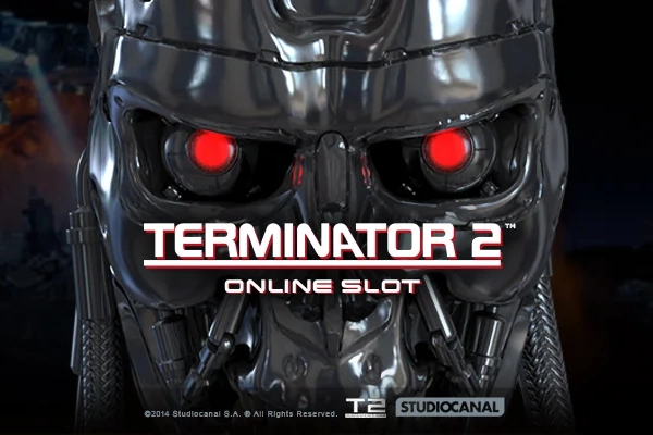 14256 terminator 2