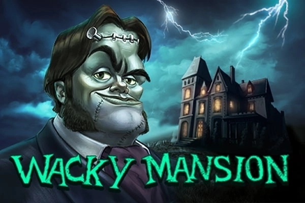 22955 wacky mansion